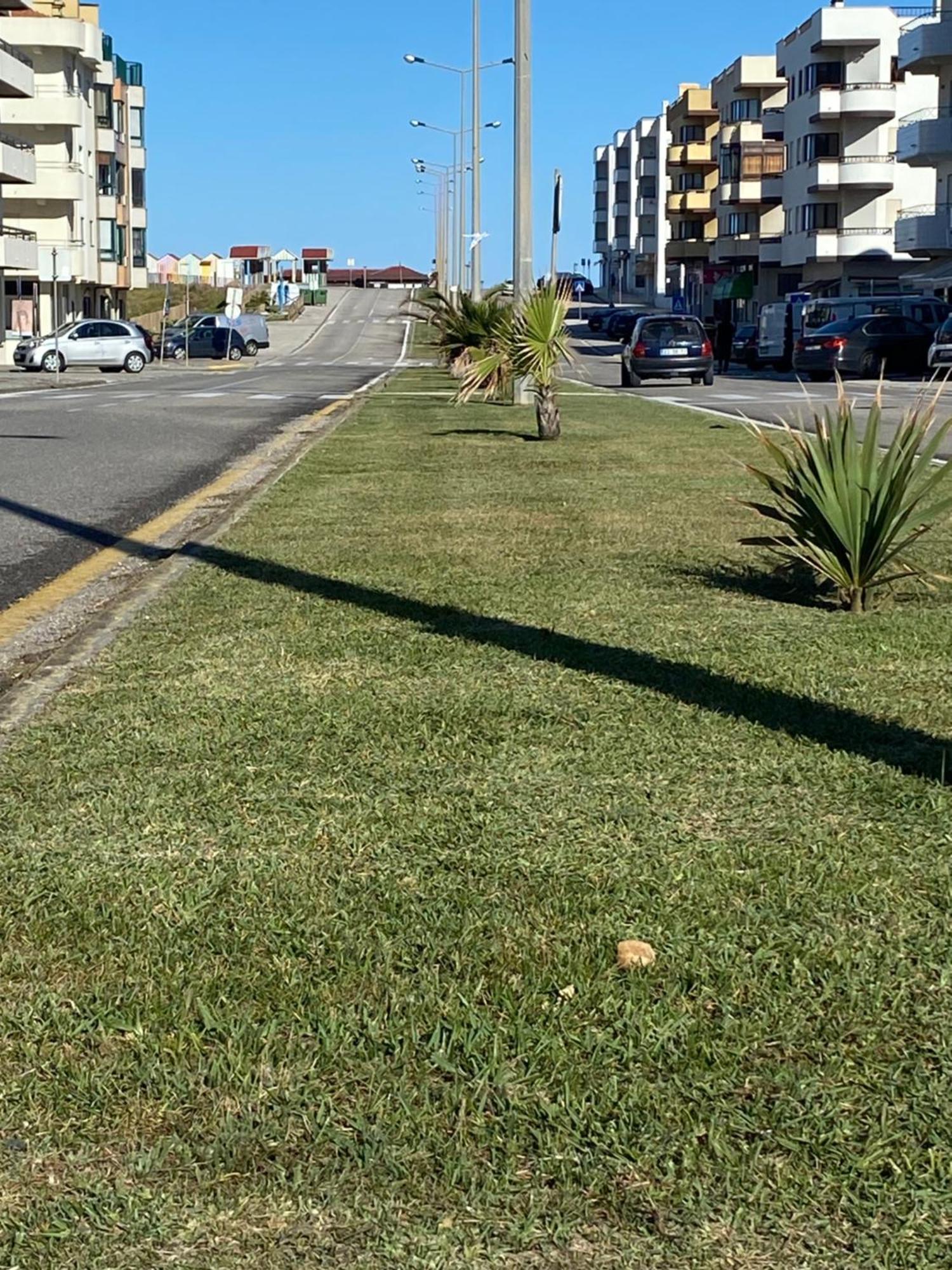 Apartamento Vista Mar Vieira de Leiria Eksteriør bilde